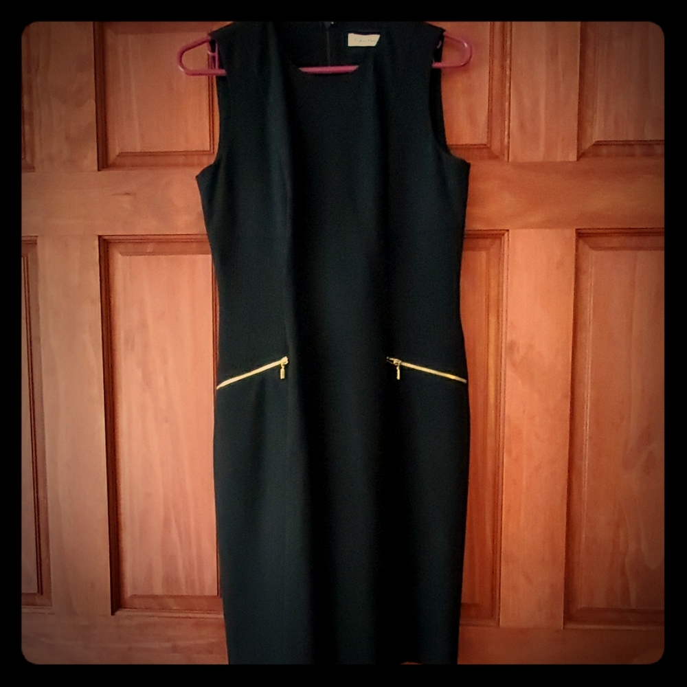 Size 6 Calvin Klein Dress.
